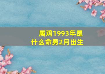 属鸡1993年是什么命男2月出生