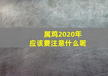 属鸡2020年应该要注意什么呢