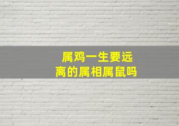 属鸡一生要远离的属相属鼠吗