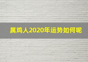 属鸡人2020年运势如何呢