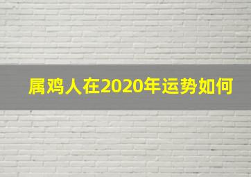 属鸡人在2020年运势如何