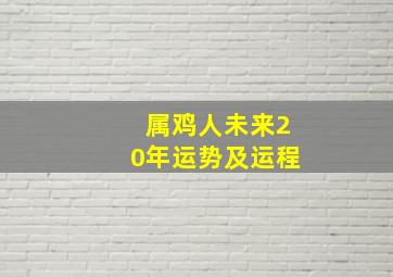 属鸡人未来20年运势及运程