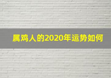 属鸡人的2020年运势如何