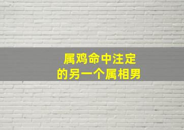 属鸡命中注定的另一个属相男