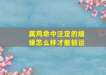 属鸡命中注定的姻缘怎么样才能转运