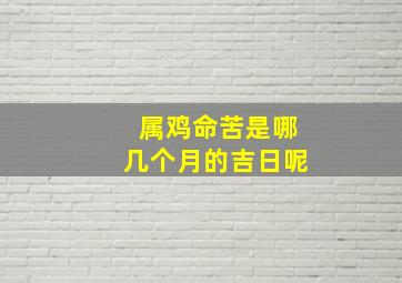 属鸡命苦是哪几个月的吉日呢