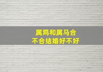 属鸡和属马合不合结婚好不好