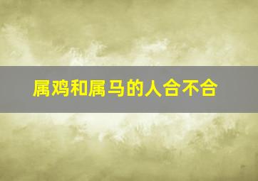 属鸡和属马的人合不合