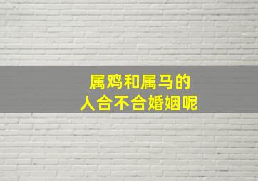 属鸡和属马的人合不合婚姻呢