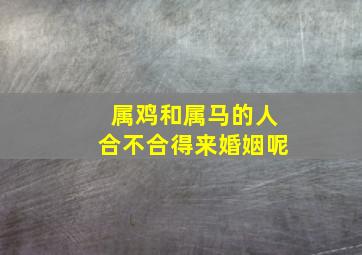 属鸡和属马的人合不合得来婚姻呢