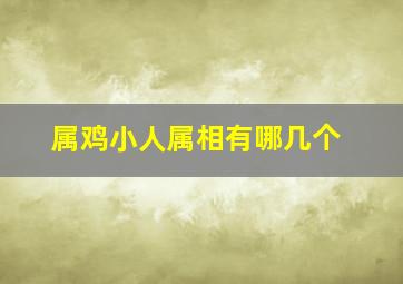 属鸡小人属相有哪几个