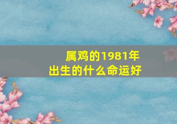 属鸡的1981年出生的什么命运好