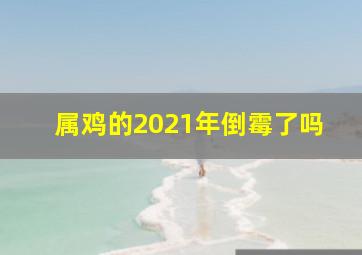 属鸡的2021年倒霉了吗