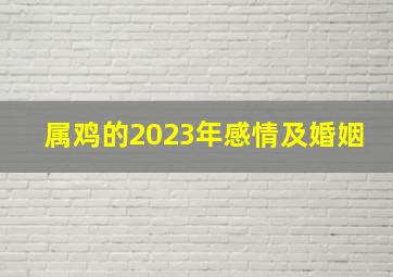 属鸡的2023年感情及婚姻