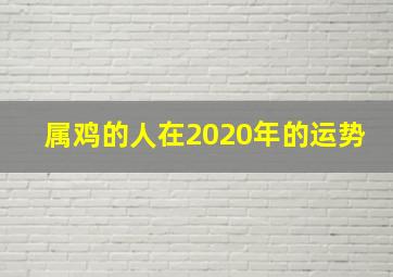 属鸡的人在2020年的运势