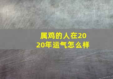 属鸡的人在2020年运气怎么样