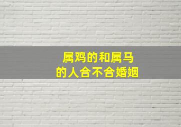 属鸡的和属马的人合不合婚姻