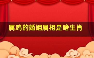 属鸡的婚姻属相是啥生肖