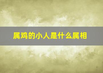 属鸡的小人是什么属相