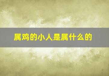 属鸡的小人是属什么的