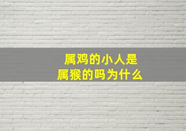 属鸡的小人是属猴的吗为什么