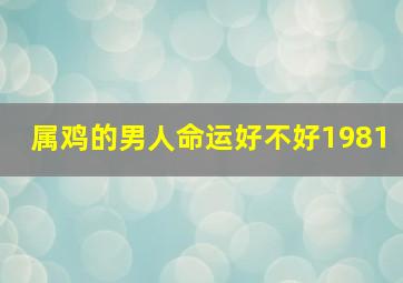 属鸡的男人命运好不好1981