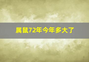 属鼠72年今年多大了