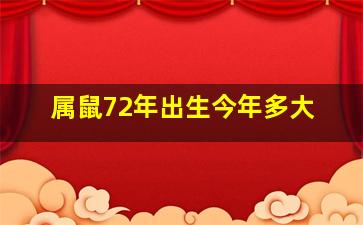 属鼠72年出生今年多大