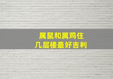 属鼠和属鸡住几层楼最好吉利