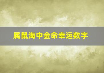 属鼠海中金命幸运数字