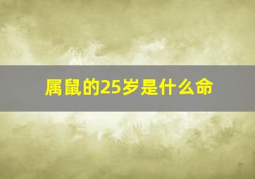 属鼠的25岁是什么命