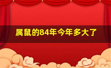 属鼠的84年今年多大了