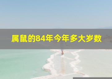 属鼠的84年今年多大岁数