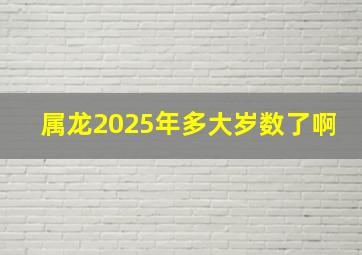 属龙2025年多大岁数了啊