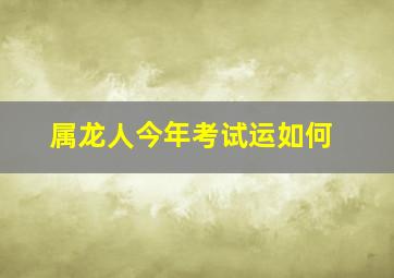 属龙人今年考试运如何