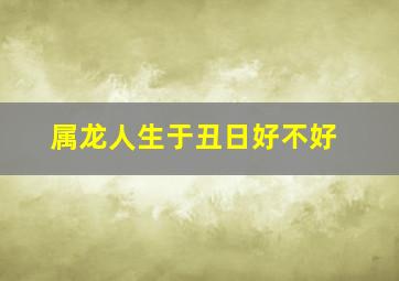 属龙人生于丑日好不好