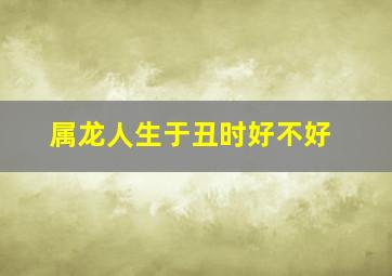 属龙人生于丑时好不好