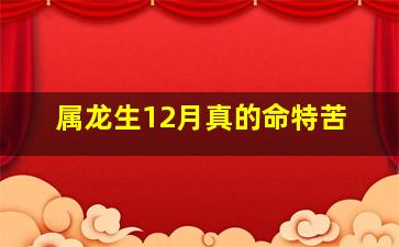 属龙生12月真的命特苦