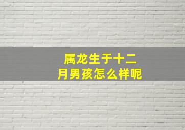 属龙生于十二月男孩怎么样呢