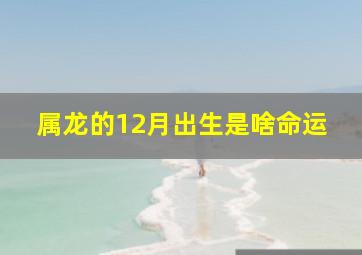 属龙的12月出生是啥命运