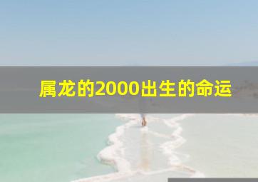 属龙的2000出生的命运