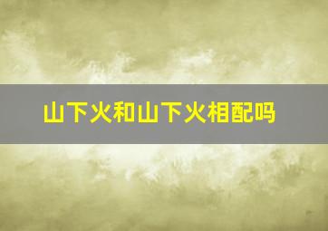 山下火和山下火相配吗