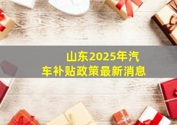 山东2025年汽车补贴政策最新消息