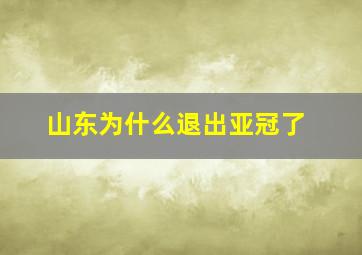 山东为什么退出亚冠了