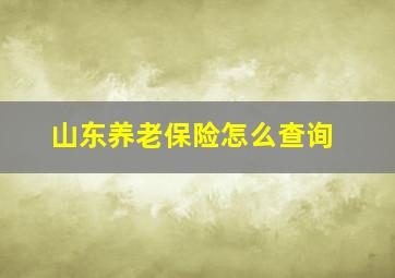 山东养老保险怎么查询