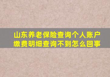 山东养老保险查询个人账户缴费明细查询不到怎么回事