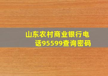 山东农村商业银行电话95599查询密码