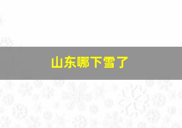 山东哪下雪了