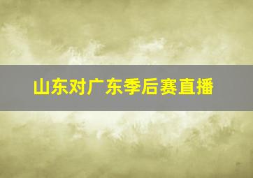 山东对广东季后赛直播