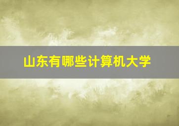 山东有哪些计算机大学